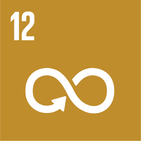 SDG 12 - Nachhaltige/r Konsum und Produktion