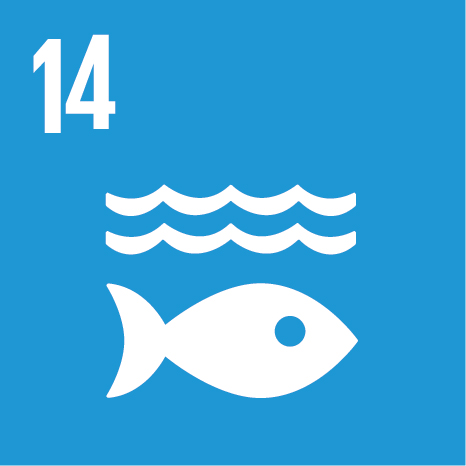 SDG 14 - Leben unter Wasser