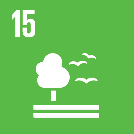 SDG 15 - Leben an Land