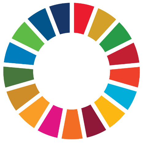 Bild des SDG-Wheel