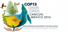 COP13-Logo