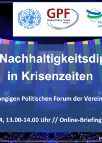 Coverbild zur Onlineveranstaltung mit Logos und Titel: Globale Nachhaltigkeitsdiplomatie in Krisenzeiten