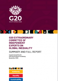 G20 Inequlity Report