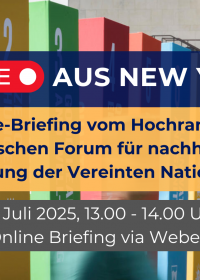 Banner zur Onlineveranstaltung "Live aus New York"