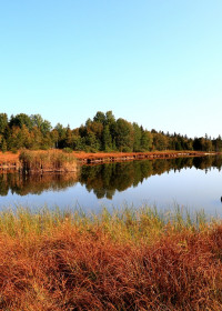 Moorlandschaft mit Wasserfläche und blauem Himmel