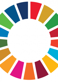 SDG Wheel