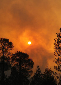 Waldbrand