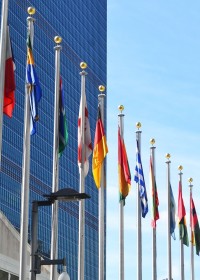 United Nations flags