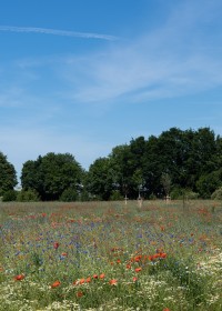 Biodiversität