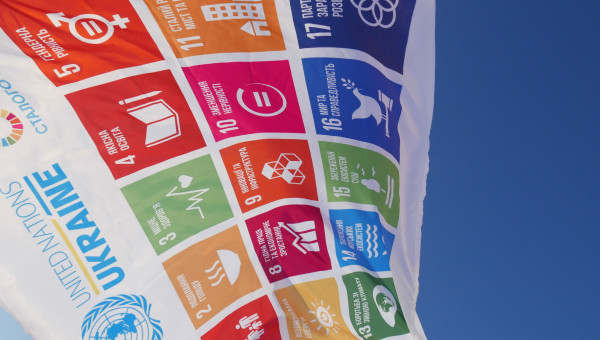 UN in Ukraine/2014