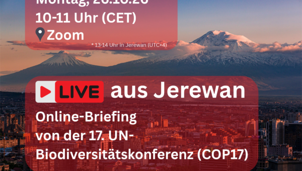 Cover Live aus Yerewan