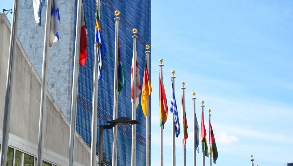 United Nations flags