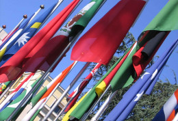 Flags Geneva