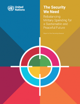 The security we need - report cover