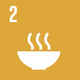 SDG 2