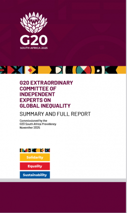 G20 Inequlity Report
