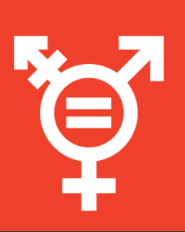 SDG 5 Geschlechtergleichheit