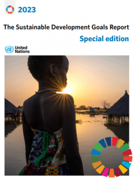 Sustainable Development Report 2023