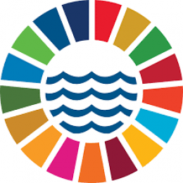 Kreis mit SDG Farben drumherum und mit Meer in der Mitte