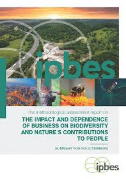 IPBES Bericht Cover