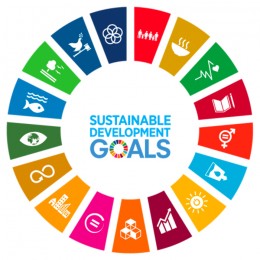 SDGs