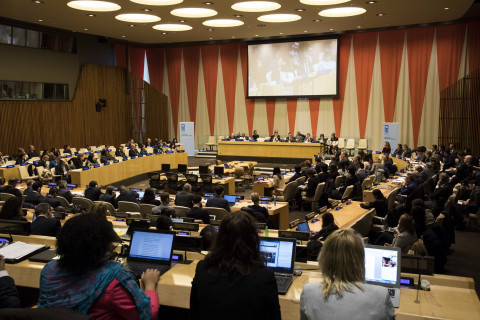 New York, 30th January - Executive Board Meeting 2017 - General view of the ECOSOC chamber where the panel and delegates have gathered for the first Regular Session that is held jointly with UNOPS and UNFPA.