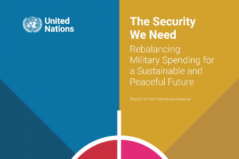 The security we need - report cover