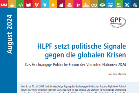 Cover des Briefings "HLPF setzt politische Signale gegen globale Krisen"