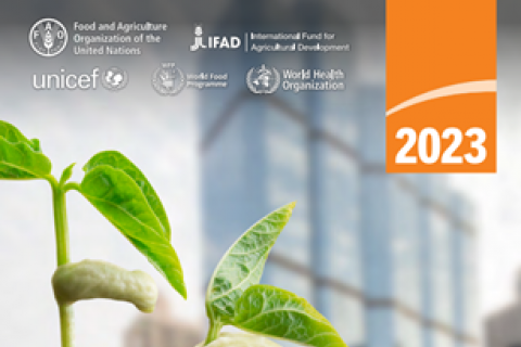 Cover Welternährungsbericht