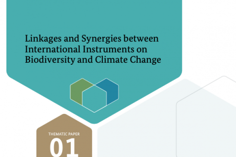 Cover Klima & Biodiv