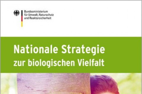Cover_Nachhaltigkeitsstrategie