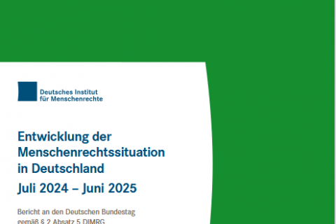 DIMR Bericht MR in Deutschland 2025