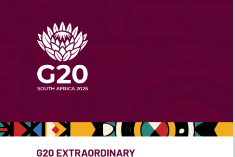 G20 Inequlity Report