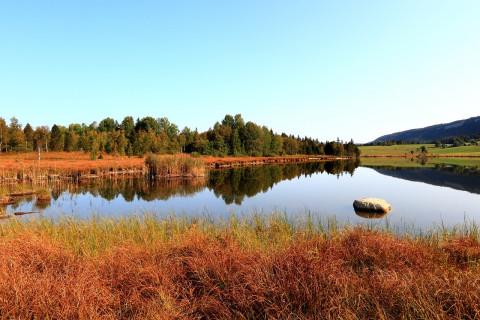 Moorlandschaft mit Wasserfläche und blauem Himmel