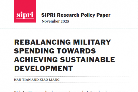 SIPRI-Analyse Military Spending SDGs
