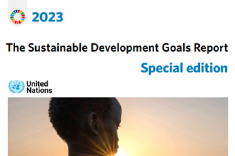Sustainable Development Report 2023
