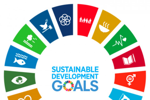SDGs
