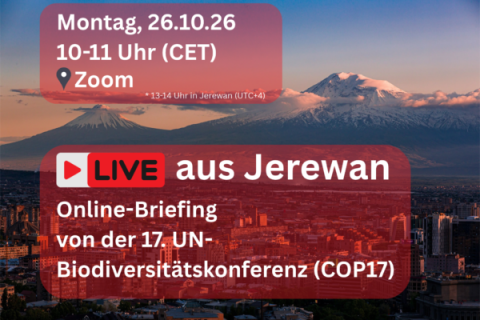 Cover Live aus Yerewan