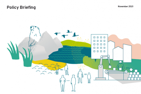 SDG monitoring cover
