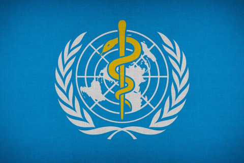 Logo of WHO and blue background